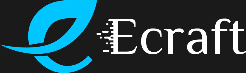 Ecraft IT Solution Pvt Ltd